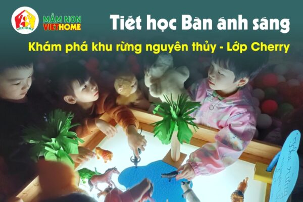 Tiết học Bàn ánh sáng: Khu rừng nguyên thủy của lớp Cherry