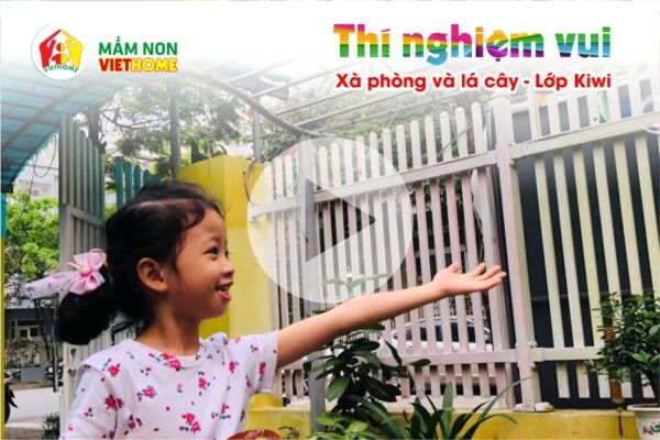 Video hoạt động Thí nghiệm xà phòng và lá cây