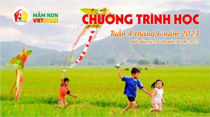 Chương trình học tuần 4 tháng 6 năm 2023 của Mầm non VietHome