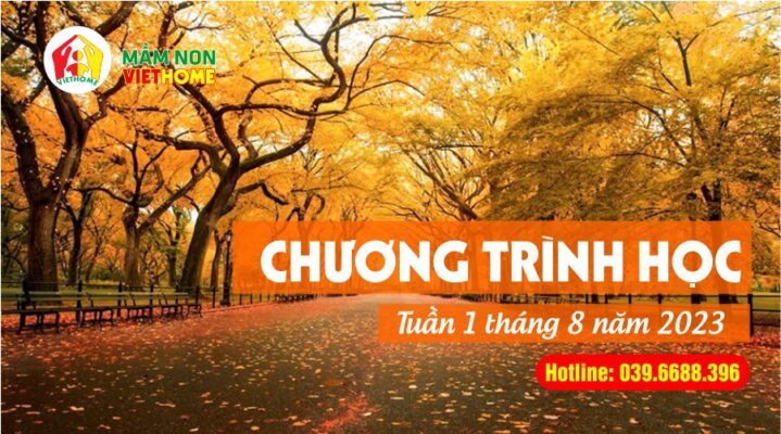 Chương trình học Tuần 1 tháng 8 chủ đề Mùa thu - Mầm non VietHome