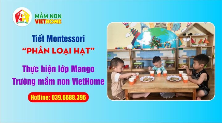 Montessori: “Phân loại hạt”- Lớp Mango - Trường mầm non VietHome