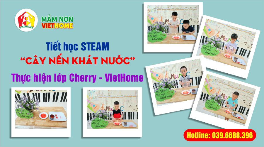 STEAM thí nghiệm vui - "Cây nến khát nước" - Lớp Cherry, trường mầm non VietHome