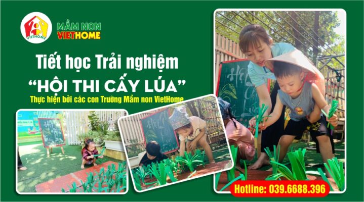 Tiết học trải nghiệm: Hội thi cấy lúa của các bạn Mầm non VietHome