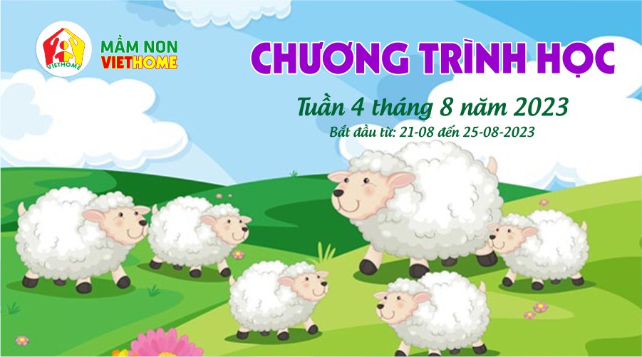 Chương trình học Tuần 4 tháng 8