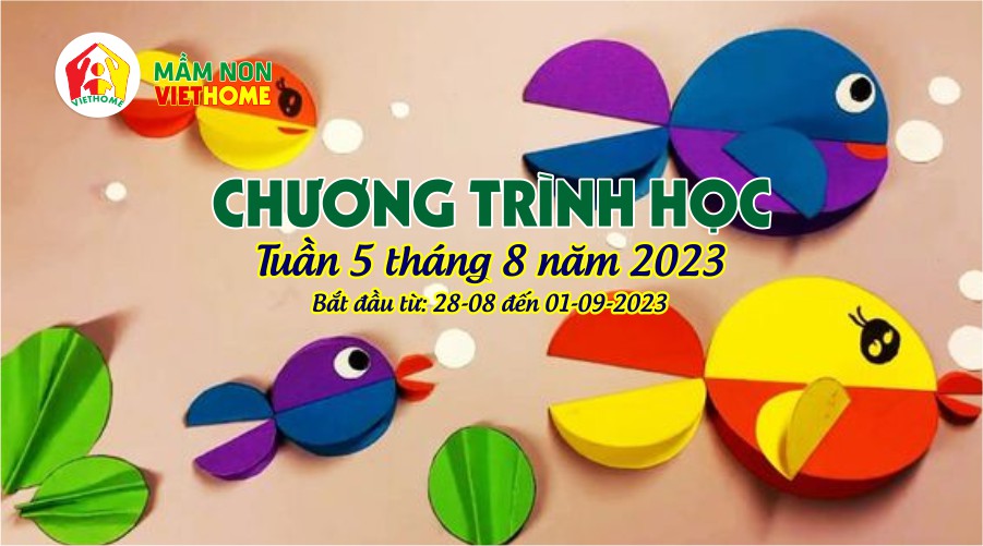 Chương trình học Tuần 5 tháng 8 - Mầm non VietHome