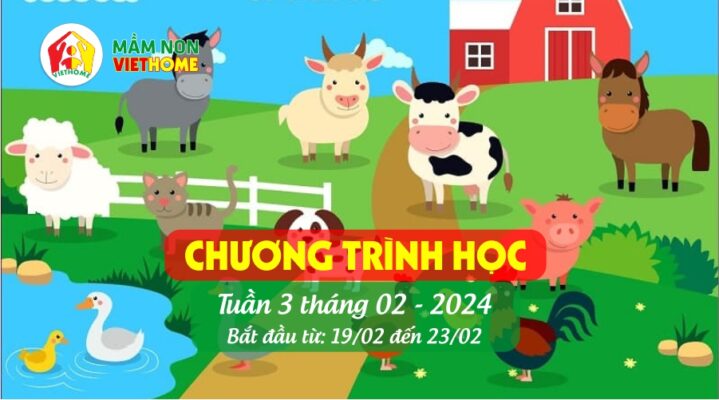 Chương trình học Tuần 3 tháng 2-2024 của Mầm non VietHome