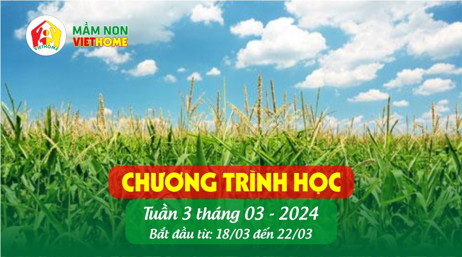 Chương trình học Tuần 3 tháng 3-2024 tại Mầm non VietHome