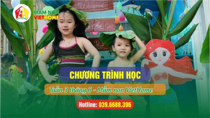 Chương trình học Tuần 3 tháng 6-2024 tại Mầm non VietHome