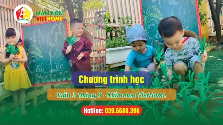 Chương trình học Tuần 3 tháng 8-2024 tại Mầm non VietHome