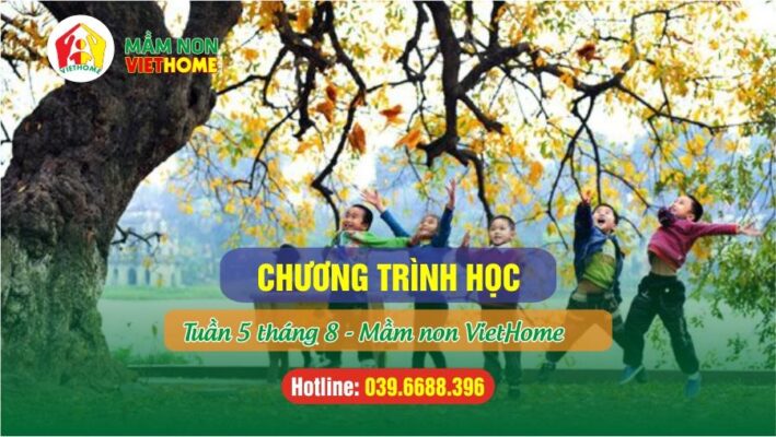 Chương trình học Tuần 5 tháng 8-2024 tại Mầm non VietHome