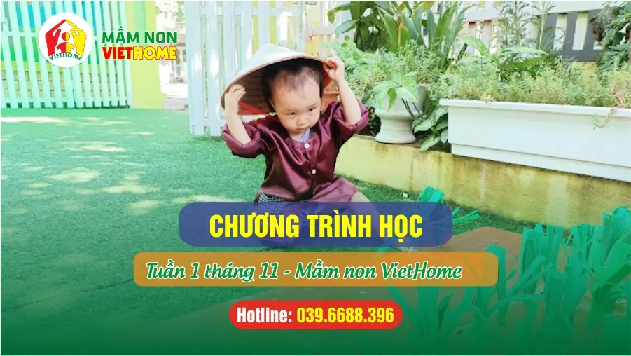 Chương trình học Tuần 1 tháng 11-2024 tại Mầm non VietHome