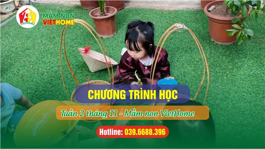 Chương trình học Tuần 2 tháng 11-2024 tại Mầm non VietHome