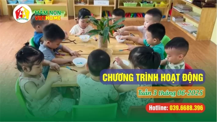 Chương trình học Tuần 3 tháng 6-2025 tại Mầm non VietHome